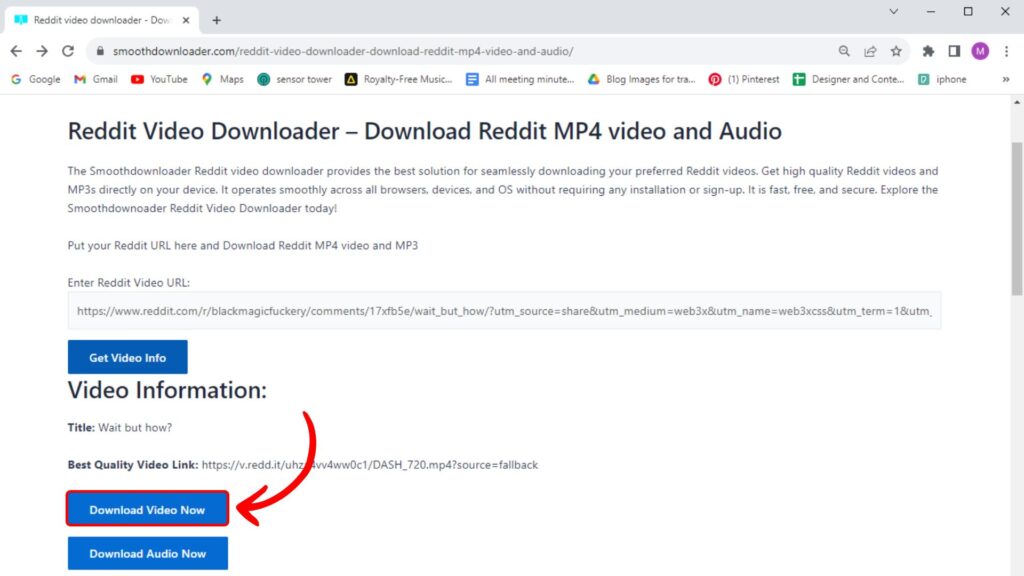 press "Download Audio Now" to convert the video into audio only.