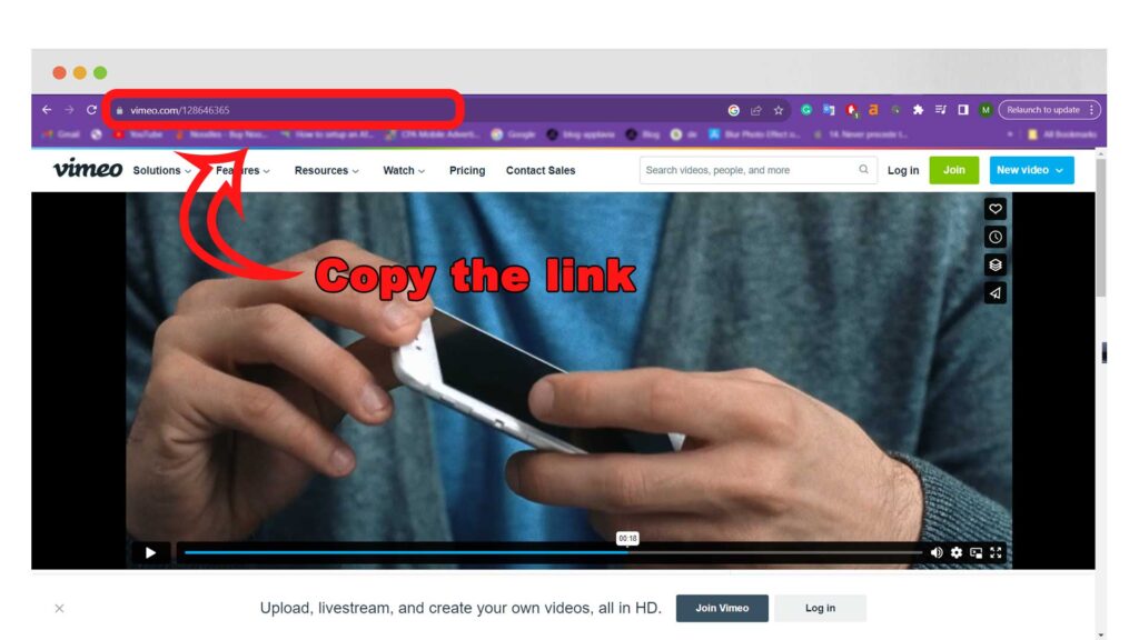 copy the link to the video from the address bar.