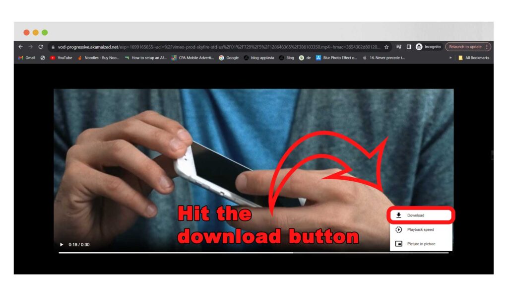 Klicken Sie auf den Download-Button.