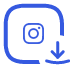 Instagram Video Downloader